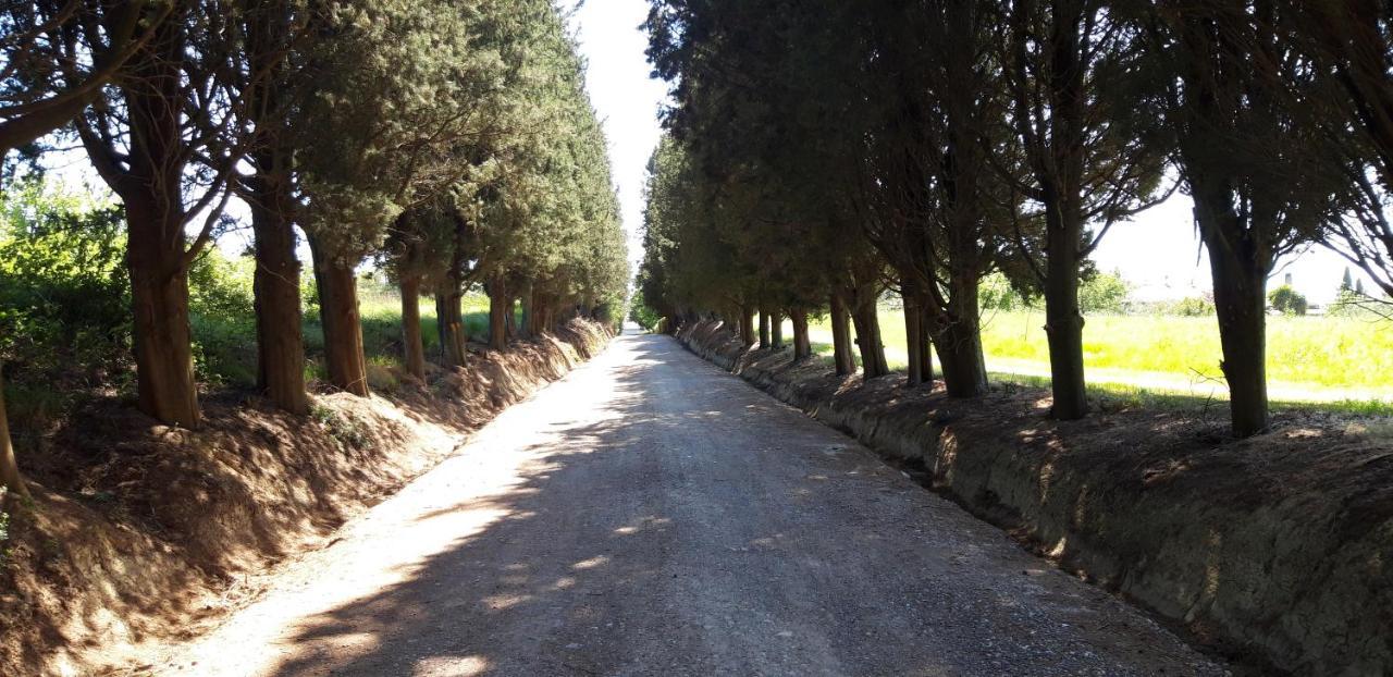Ferienwohnung La Casa Della Pieve Vecchia Marmigliaio Exterior foto