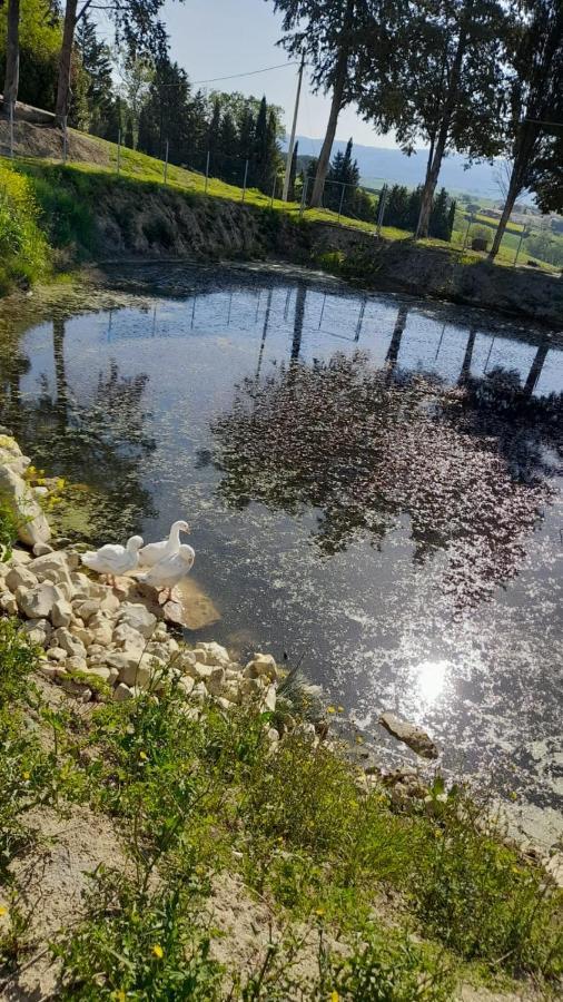 Ferienwohnung La Casa Della Pieve Vecchia Marmigliaio Exterior foto